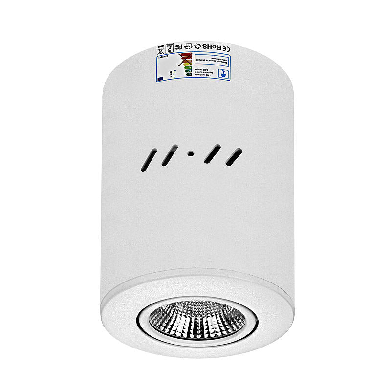 Commercial 30 Watt COB LED surface light, Pendant light Down light IP54 Tri-colour Flicker free White