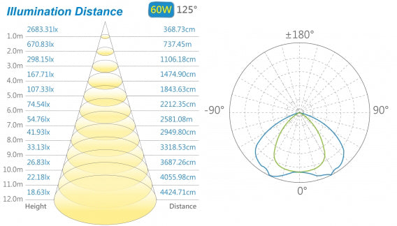 60 Watt, IP65, COB street light, special order. made in Taiwan-Exclusive