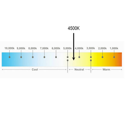 RGBW Strip Light, 24V, 18W/m ,4500K natural white, IP68 , constant voltage, 5 meter roll